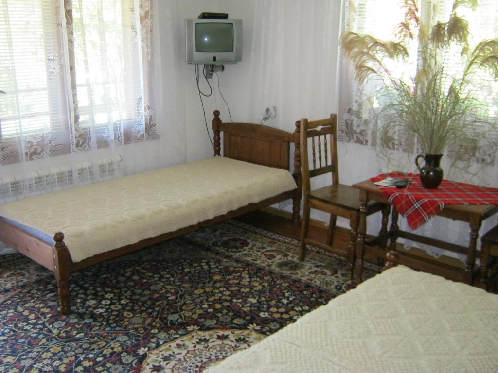 Villa Lalka Ribaritsa Rum bild