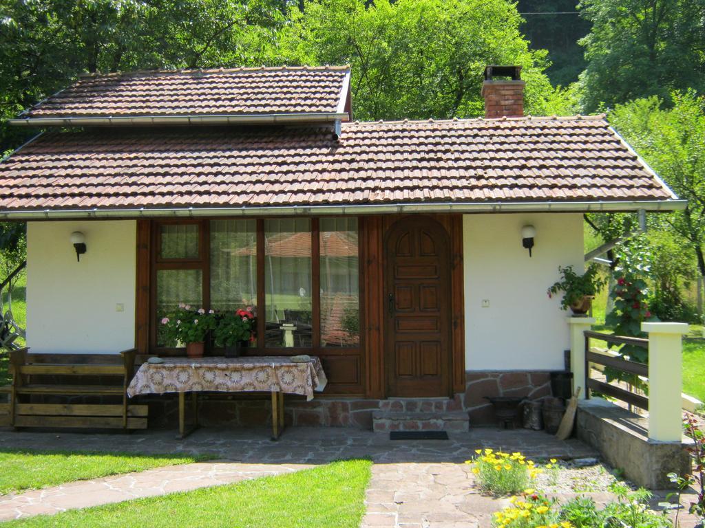 Villa Lalka Ribaritsa Rum bild