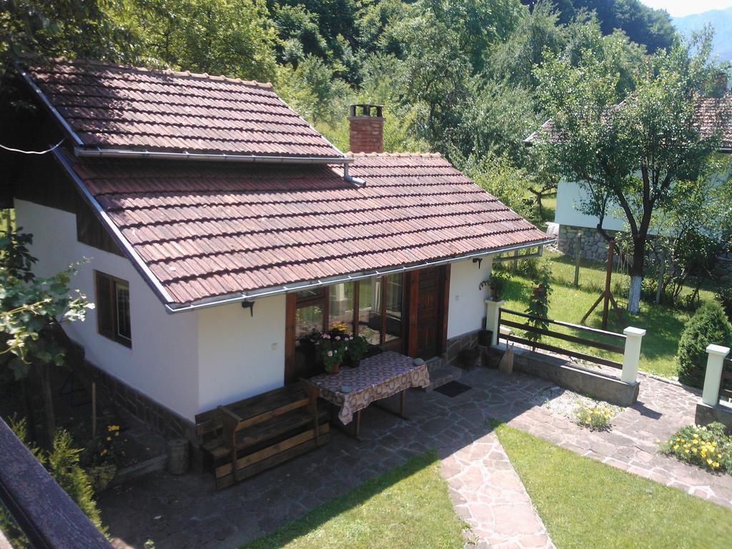 Villa Lalka Ribaritsa Exteriör bild