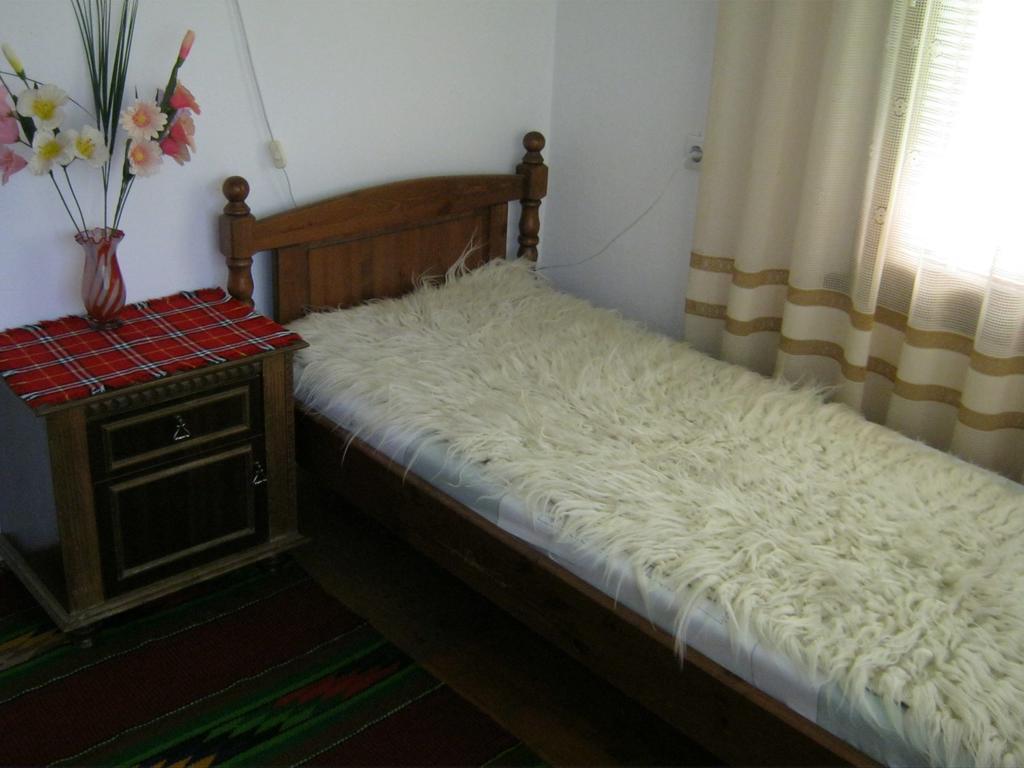 Villa Lalka Ribaritsa Rum bild