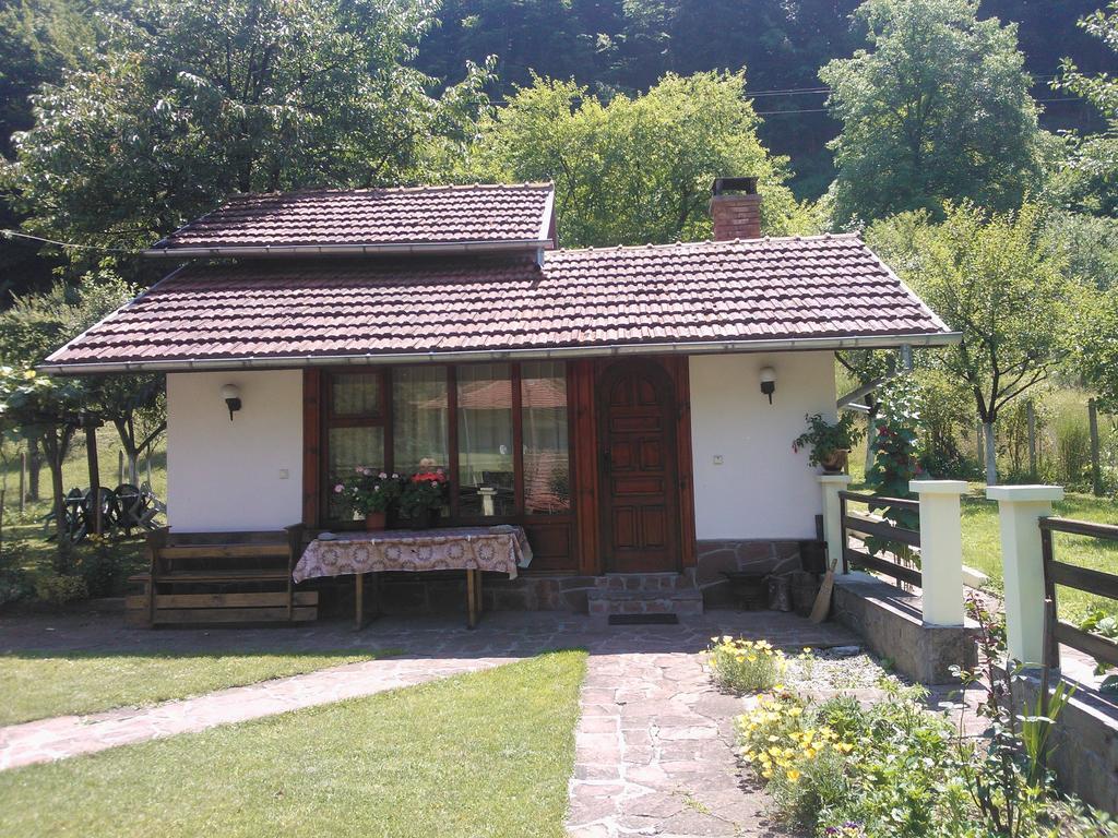 Villa Lalka Ribaritsa Exteriör bild