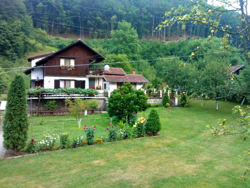 Villa Lalka Ribaritsa Exteriör bild